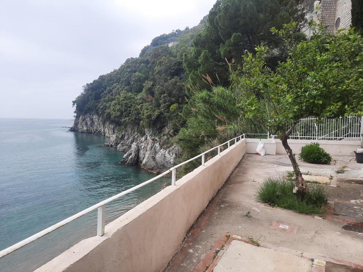 Paradise * Vietri