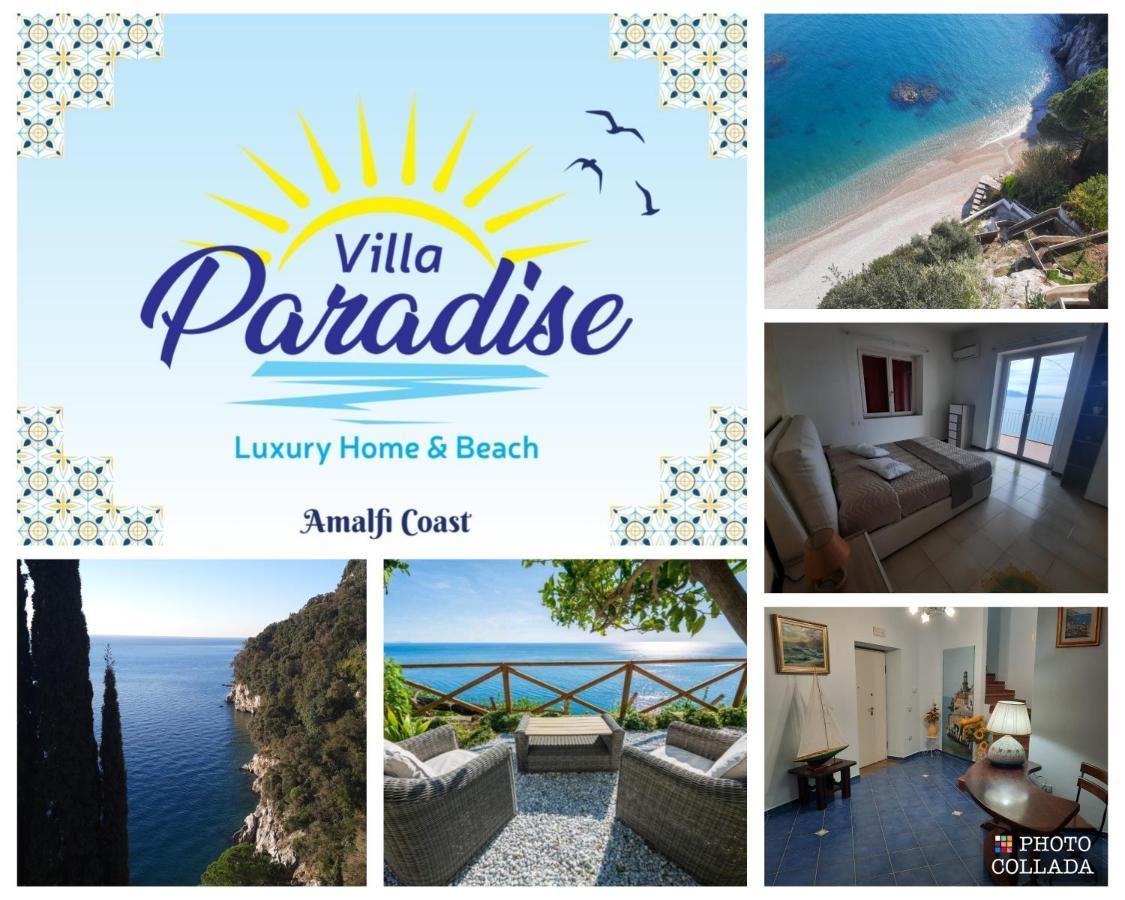 Paradise